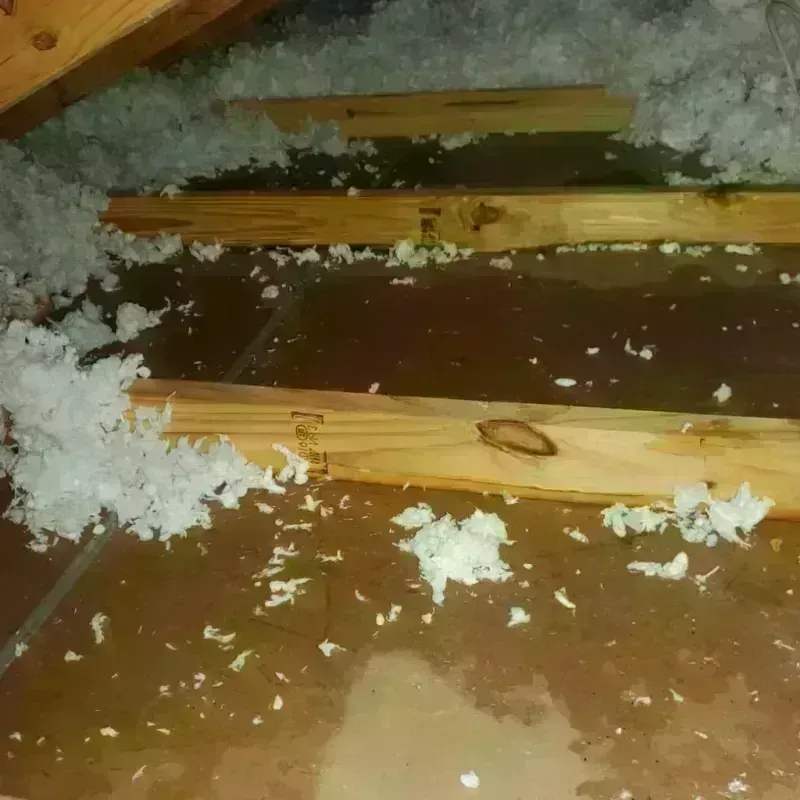 Attic Water Damage in Mountain Road, VA